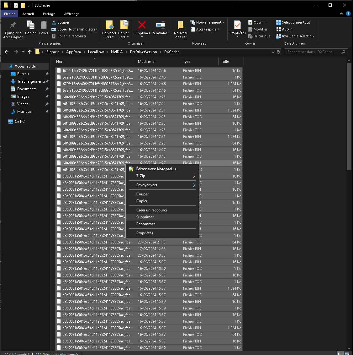 Suppression des fichiers DXCache