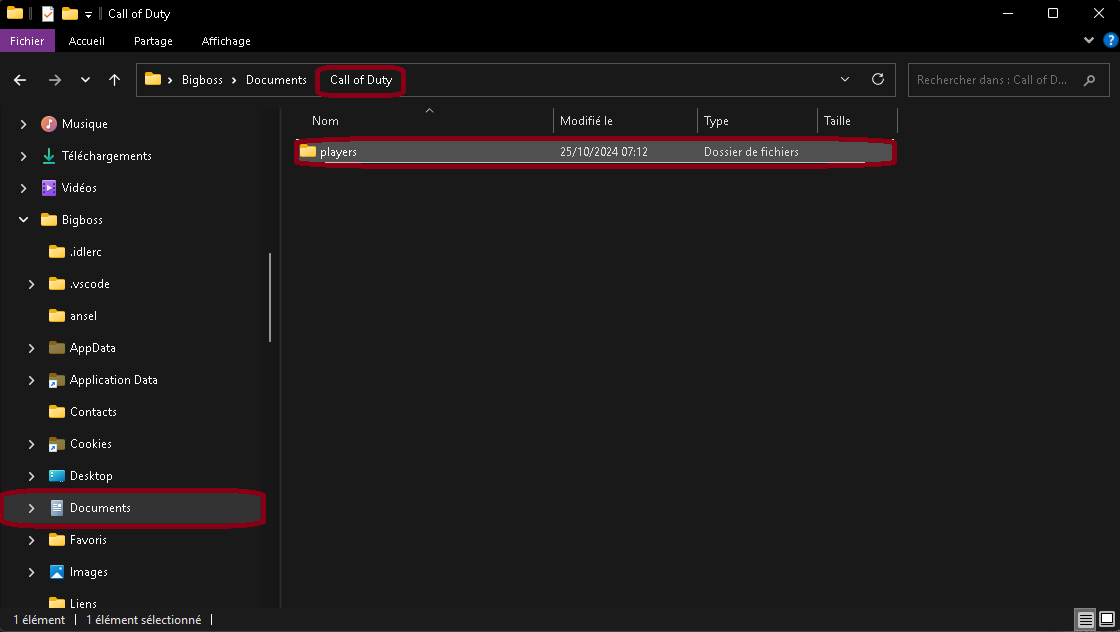 Explorateur de fichiers Call of Duty