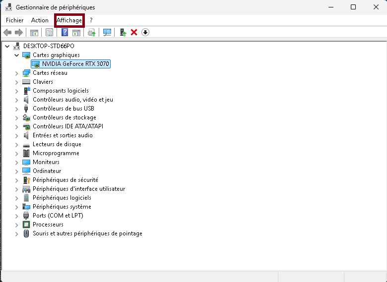 Capture d'écran du Gestionnaire de Périphériques